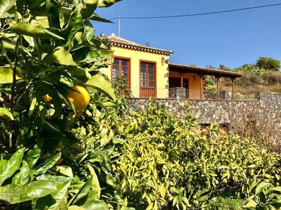Rustic House La Montana Villa Brena Baja Exterior photo
