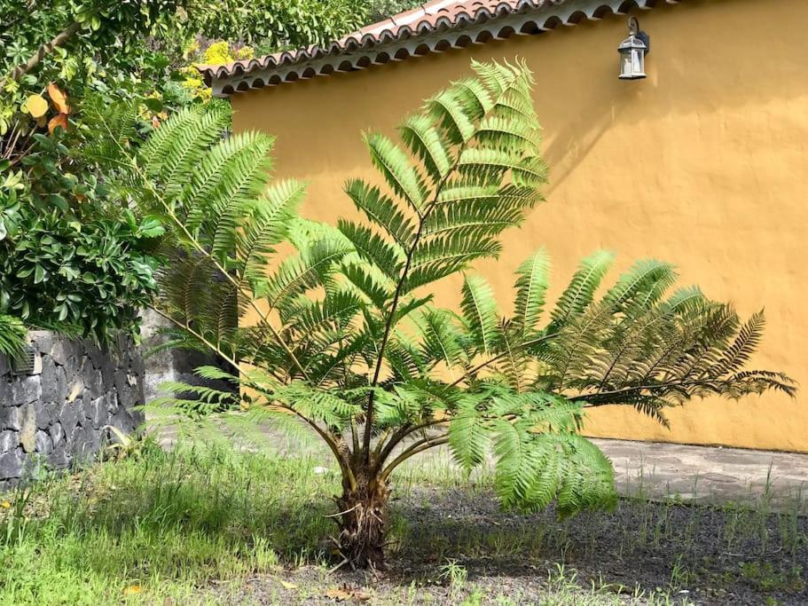 Rustic House La Montana Villa Brena Baja Exterior photo